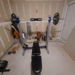 Bench, Weights, Gym,  Squat