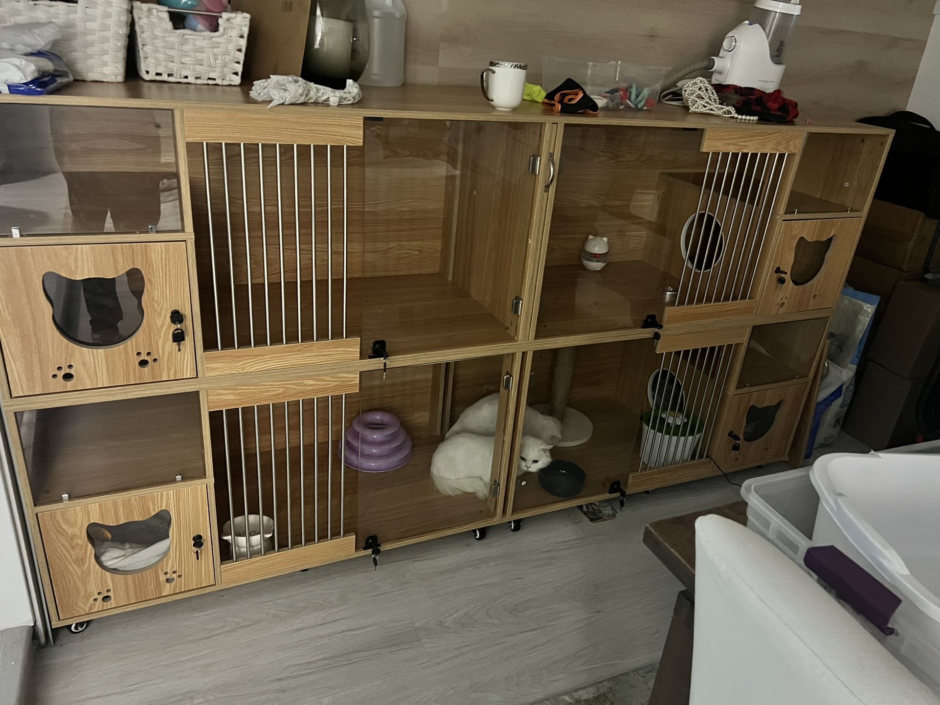 Dog and Cat Cages