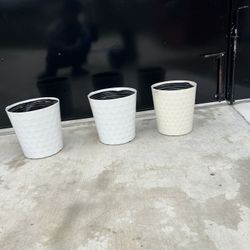 Flower Pots
