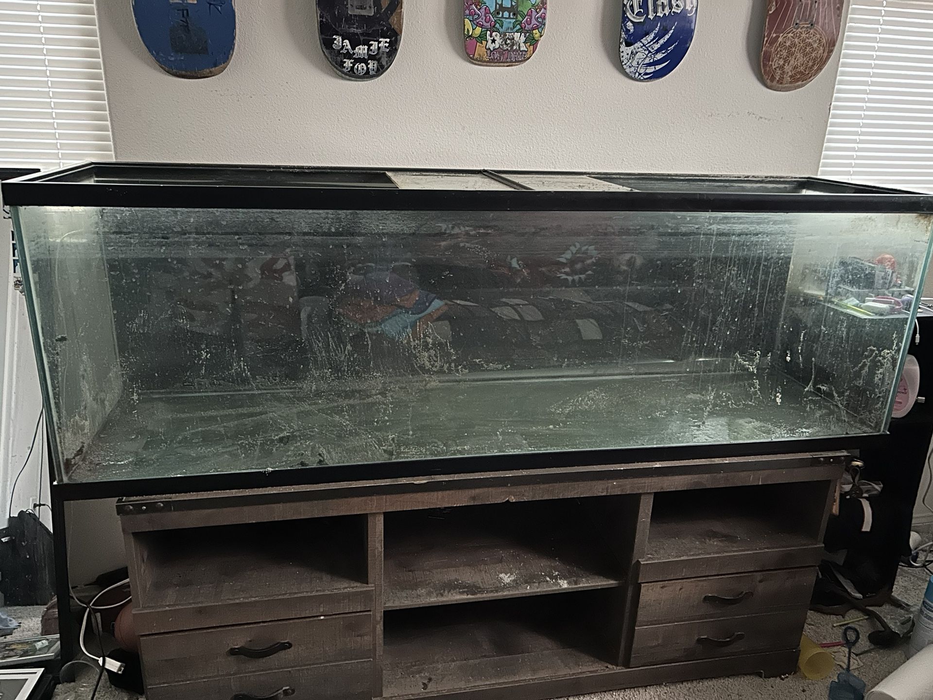 125 gallon fish tank