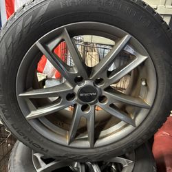 pacius rims