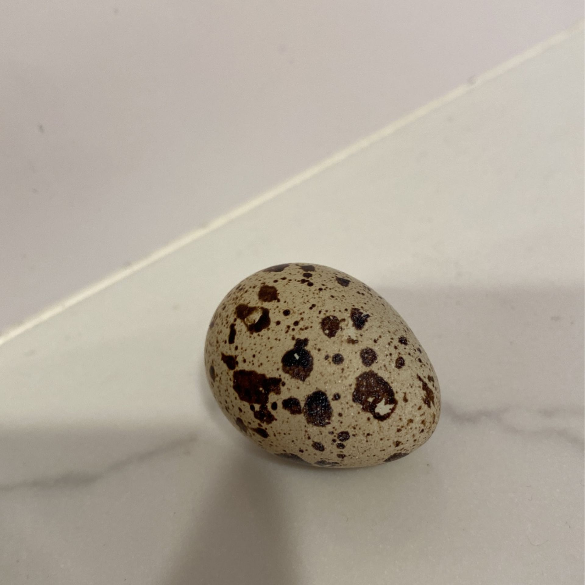 Quail Eggs