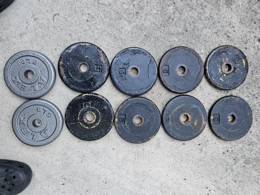 Ten 5 Pounds Weights 50 Pounds Total