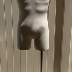 Male Mannequin 