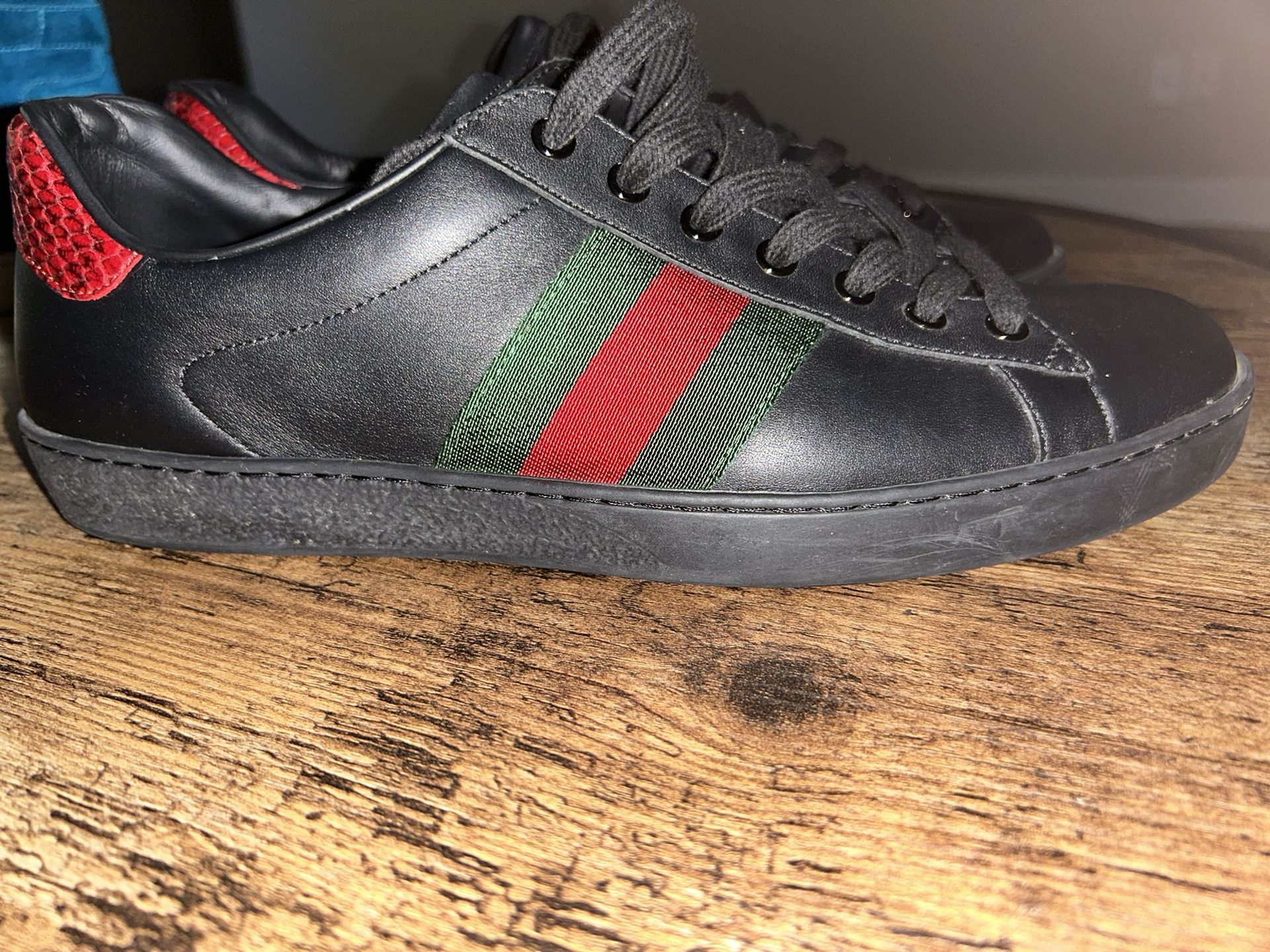 Men's Size 11 Gucci Aces
