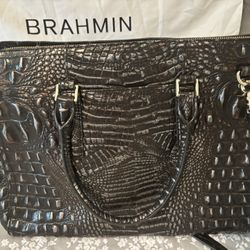 Beautiful Brahmin Bag