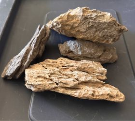 Aquarium Seiryu Stone