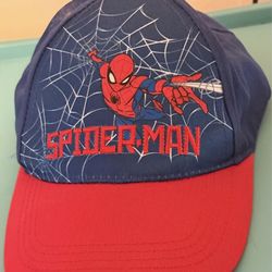 Boys youth spider man hat