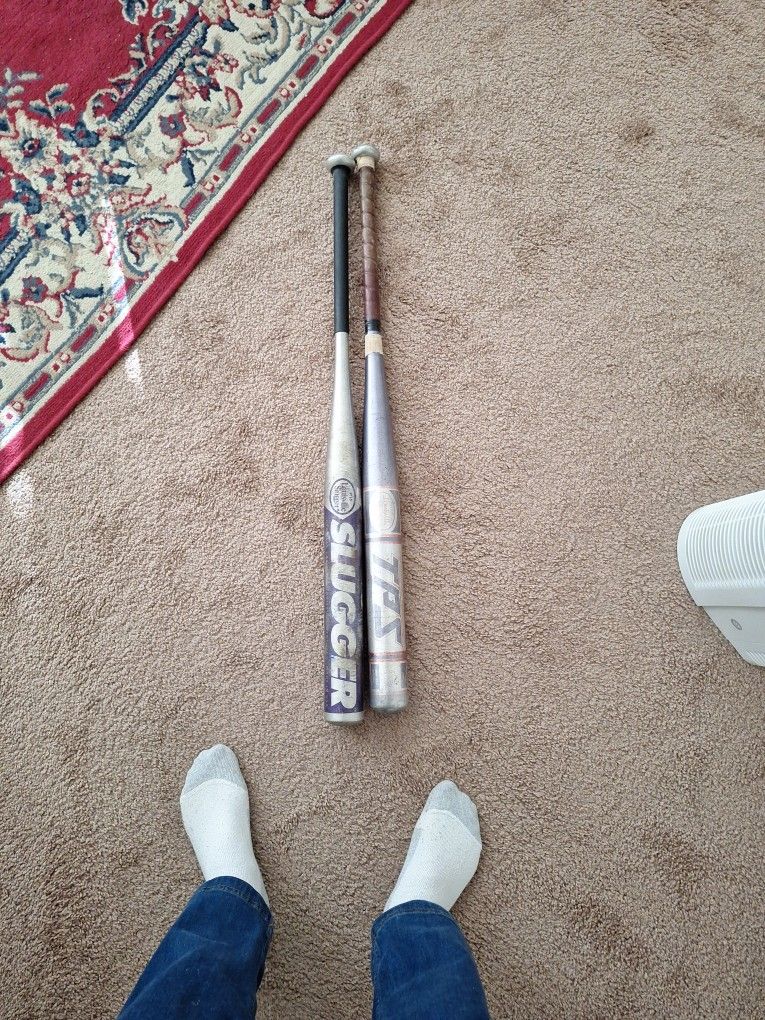 2 Aluminum Bats