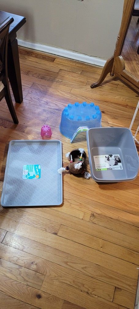 Pet Accessories
