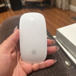 Magic Mouse 