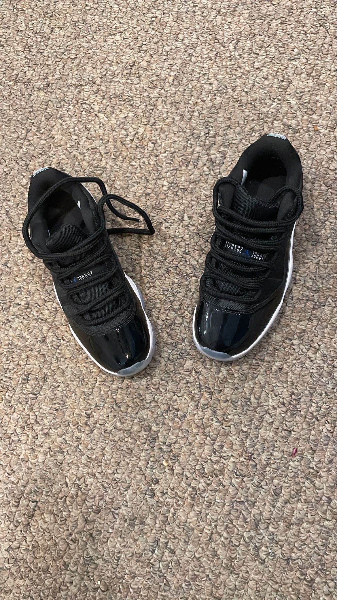 Jordan 11s Space jam
