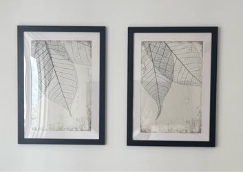 Framed Leaf Art Prints