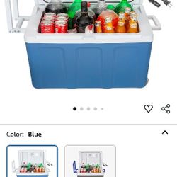 Electric Cooler And Warmer 
