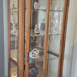 Pulaski Lighted Glass Curio 