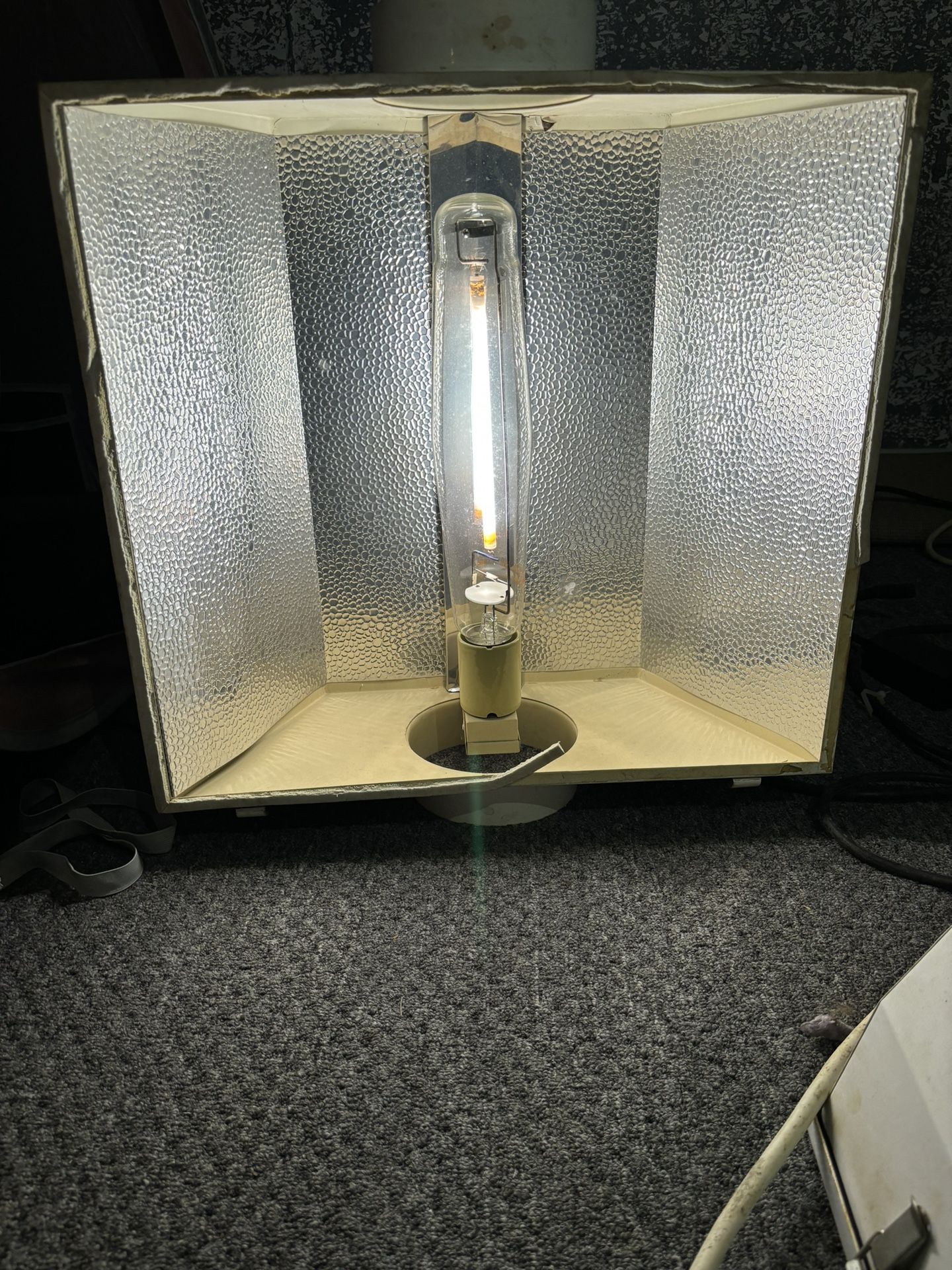 Hydro Grow Set