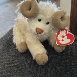 TY  Ram Called “Ramsey”