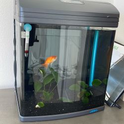 Fish Tank