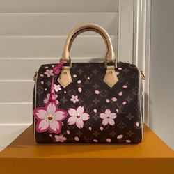 LV X Murikami Speedy Handybag