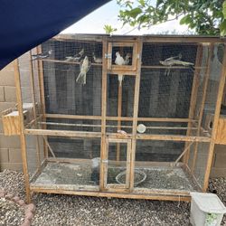 Bird Cage