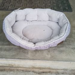 Small Dog Bed 