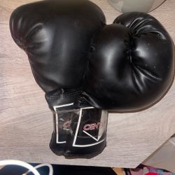 CENTURY BOXING GLOVES 