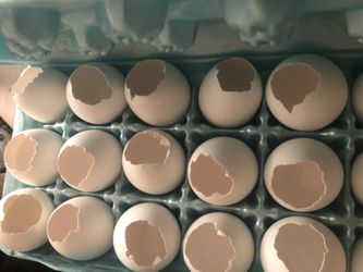 Cascarones   para rellenar  y  pintar 