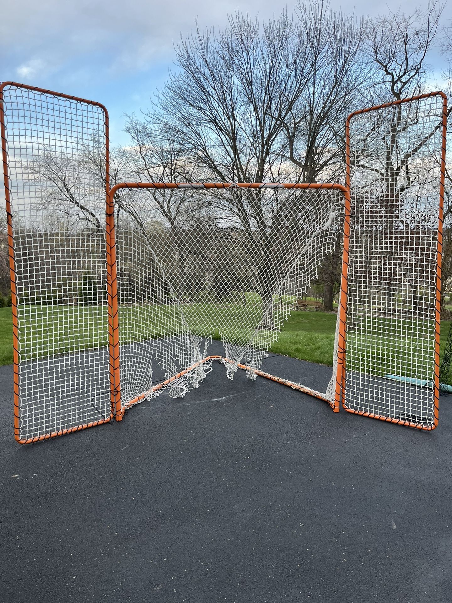 EZGoal Lacrosse Folding Goal And  Backstop