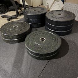 Bumper Weight Plates (Bells of Steel brand)