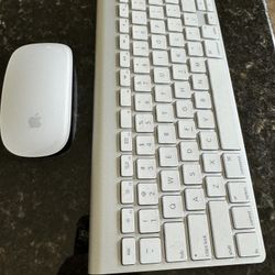 Apple Mouse and Keyboard Combo