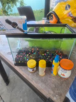 1 gal aquarium