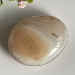 Agate Palm 