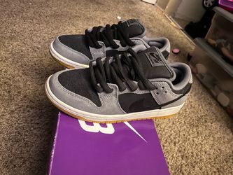 Nike SB low pro shoes