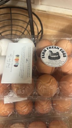 Fresh organic eggs 5
