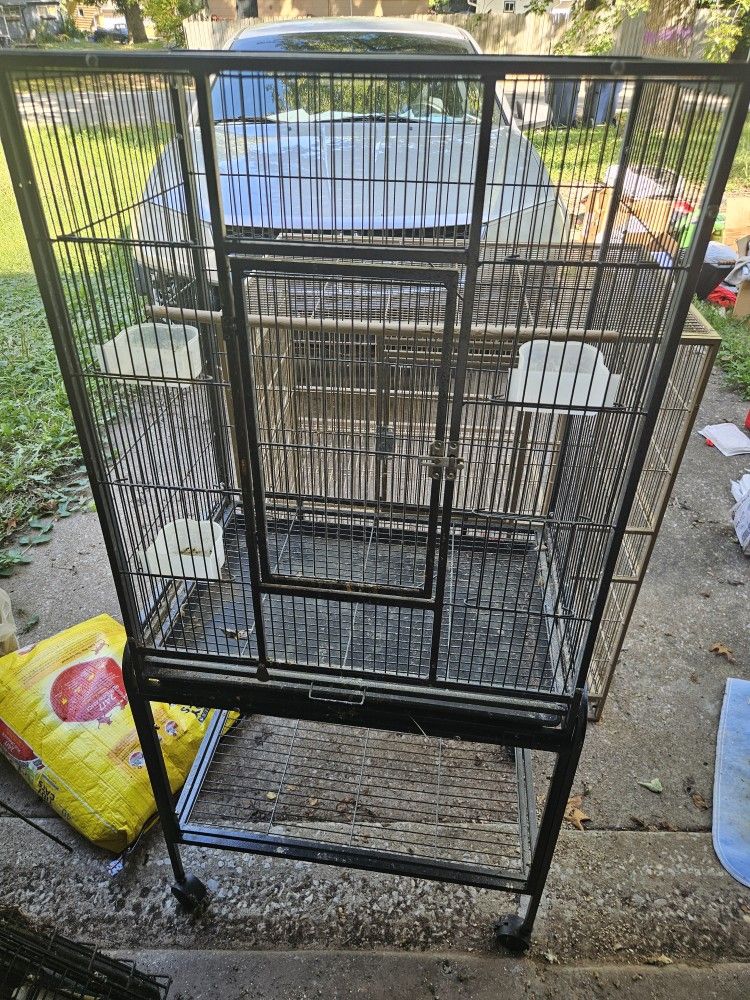 Bird Cages