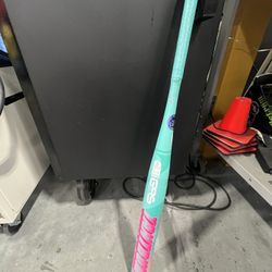 Easton Tantrum Slowpitch Softball Bat