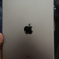 iPad Air 