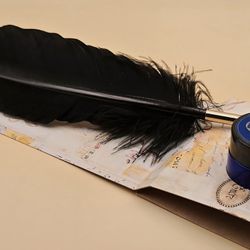 Aladine Made In France Black Feather Pen with Ink Quill (C26) 