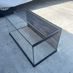 Terrarium