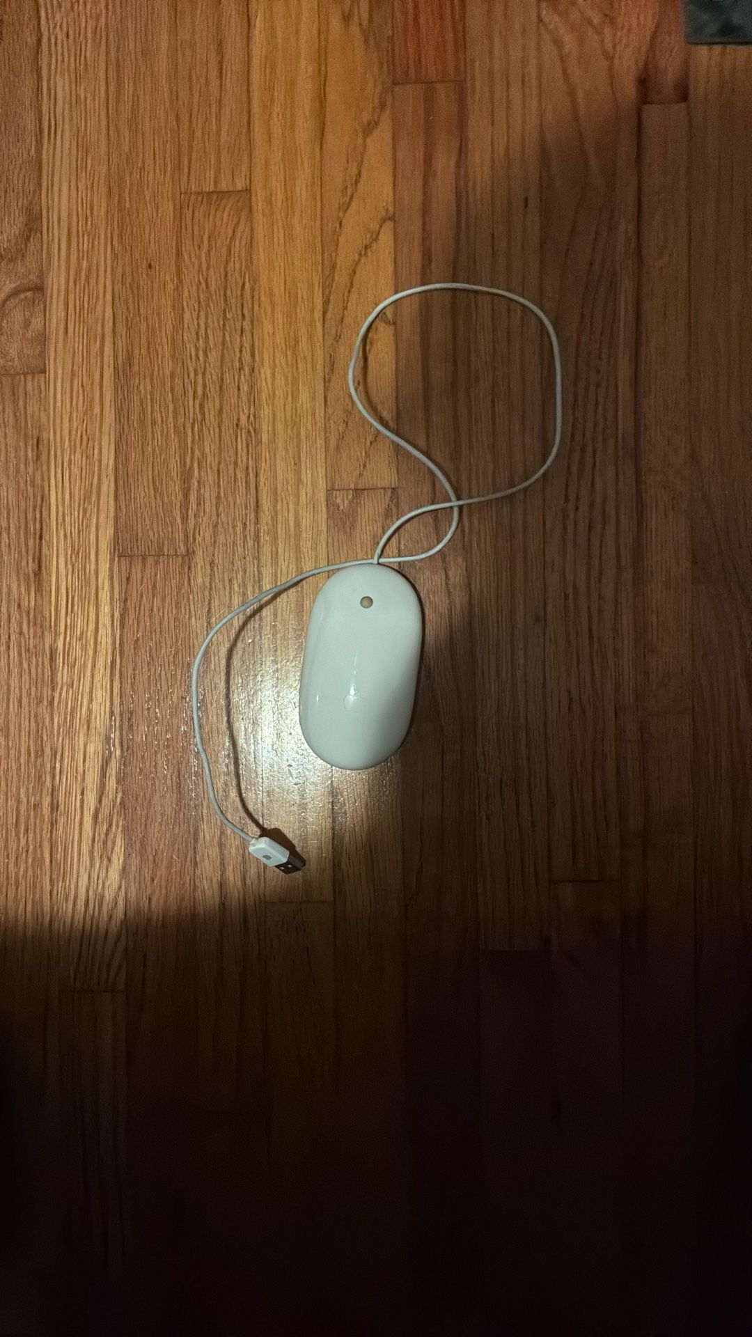 Apple Mouse