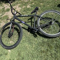 Throne 29er