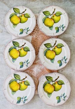 Sur La Table Plates Made in Italy Set of 6