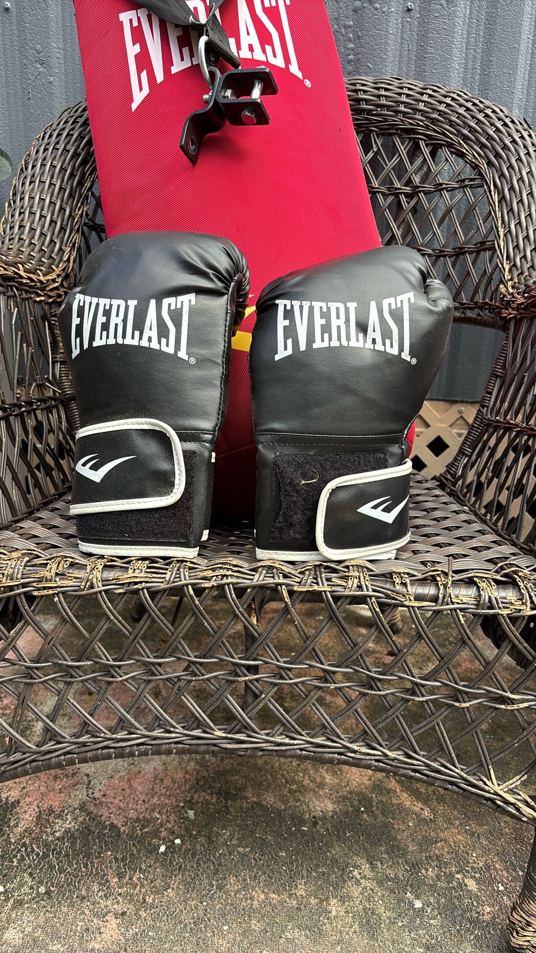 Everlast Punching Bag With Gloves And Brackets 