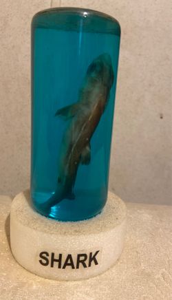 Dead Shark Collectable (throw prices)