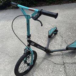 Razor Delta Wing Scooter