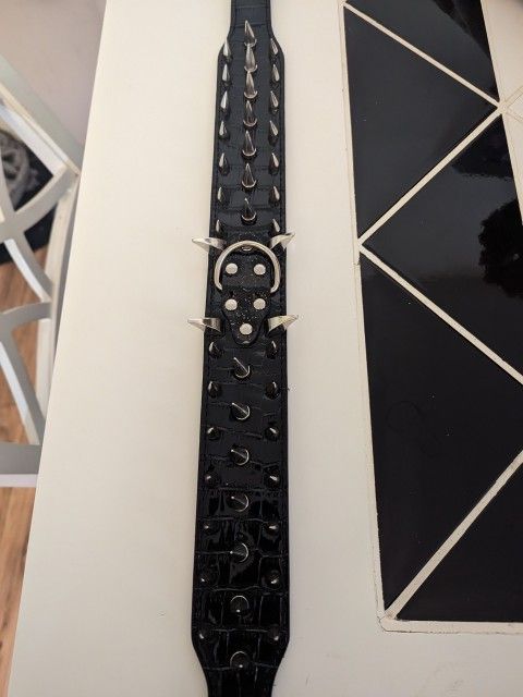 XL Dog Collar 🐶🐕🐶