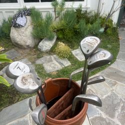 Set Of Callaway Golf Clubs & Bag