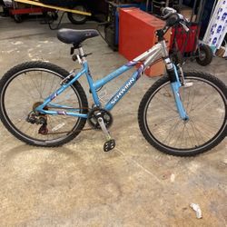 Adult Bike 