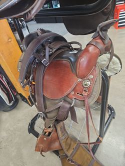Steve Edward's mule saddle