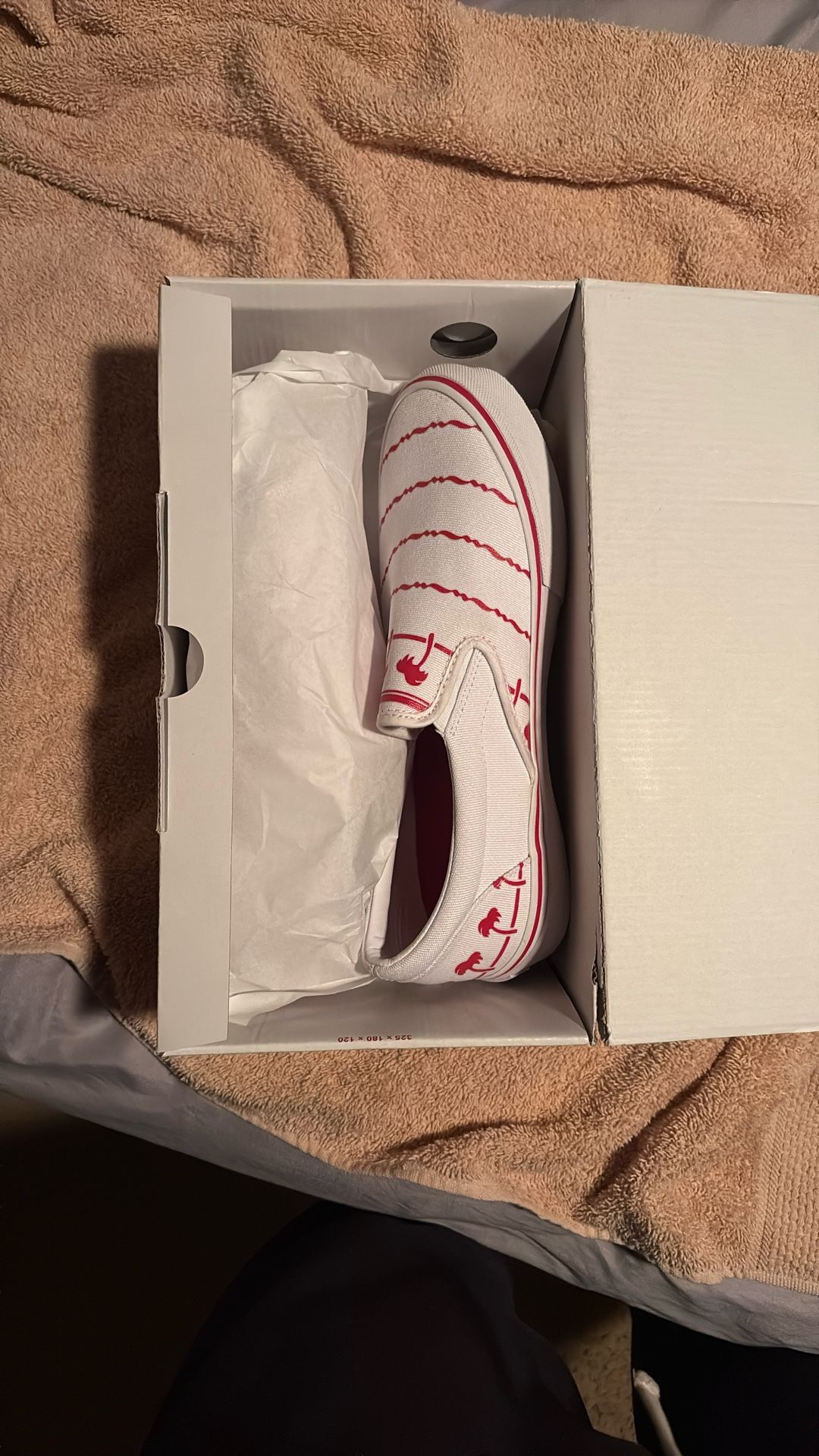 In N Out Vans Size 10